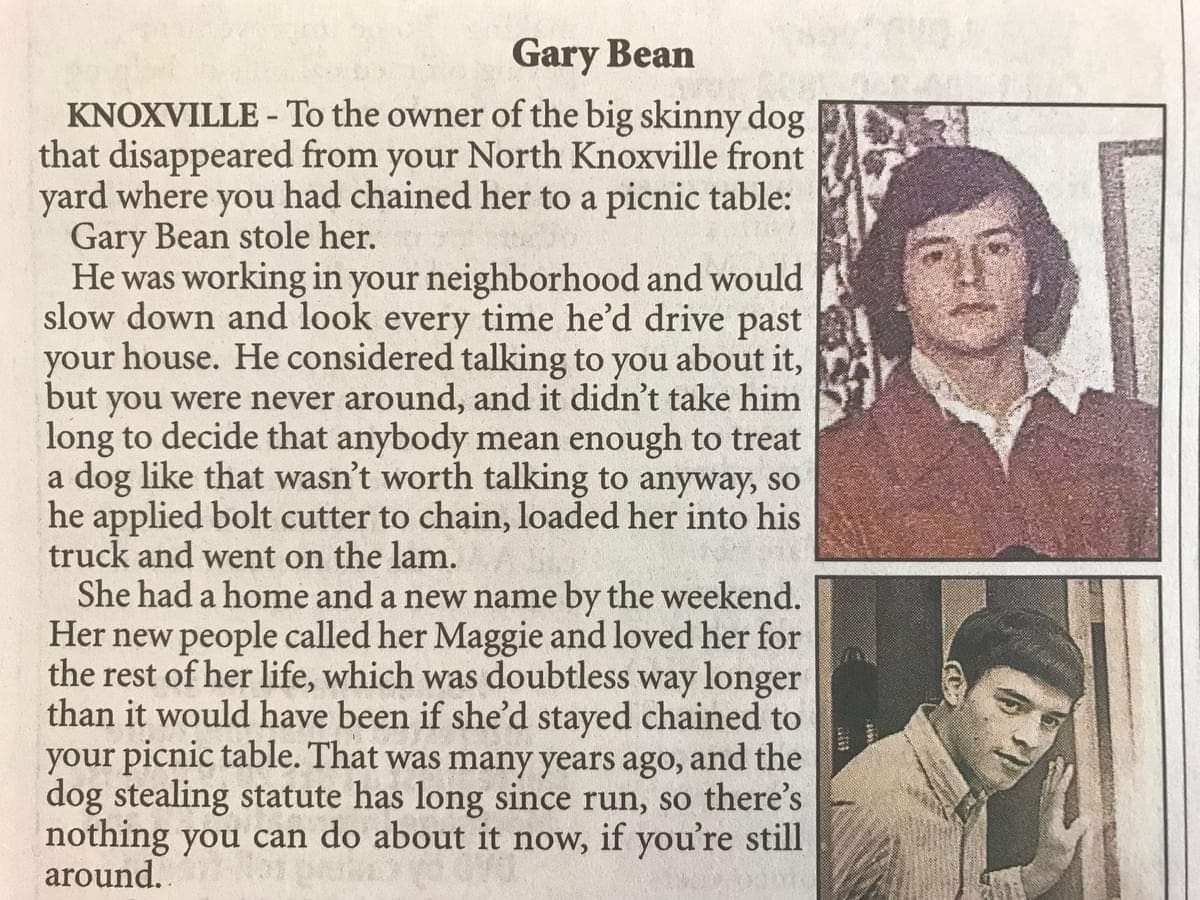 newspaper - Gary Bean Knoxville To the owner of the big skinny dog that disappeared from your North Knoxville front yard where you had chained her to a picnic table Gary Bean stole her. He was working in your neighborhood and would slow down and look ever