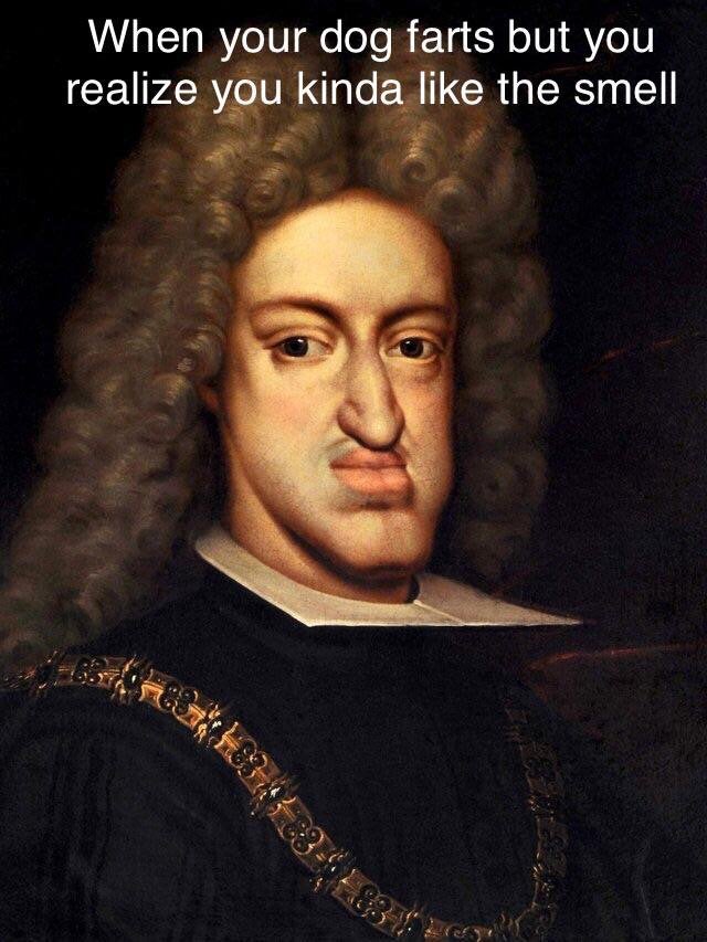 history memes - habsburg jaw - When your dog farts but you realize you kinda the smell
