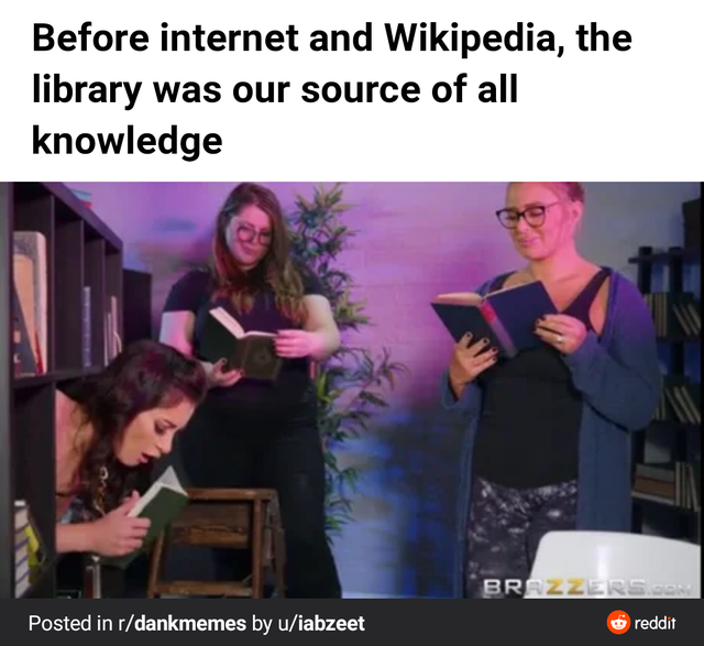 presentation - Before internet and Wikipedia, the library was our source of all knowledge Brazzers.Com reddit Posted in rdankmemes by uiabzeet
