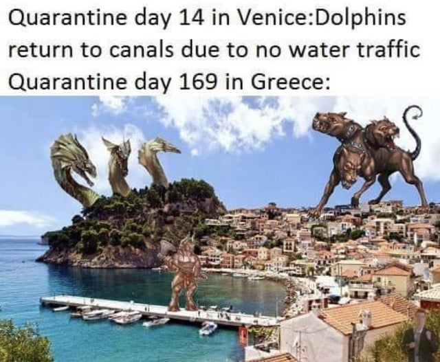 history memes - harbor - Quarantine day 14 in VeniceDolphins return to canals due to no water traffic Quarantine day 169 in Greece