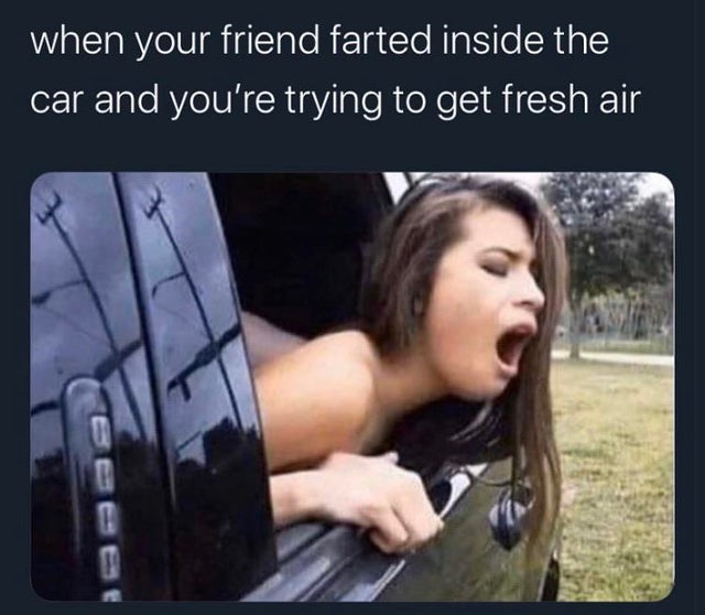 someone farts in the car meme - when your friend farted inside the car and you're trying to get fresh air