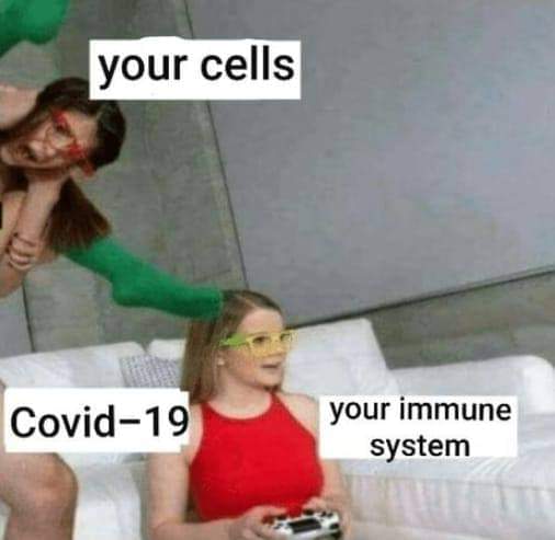 all of europe switzerland meme - your cells Covid19 your immune system