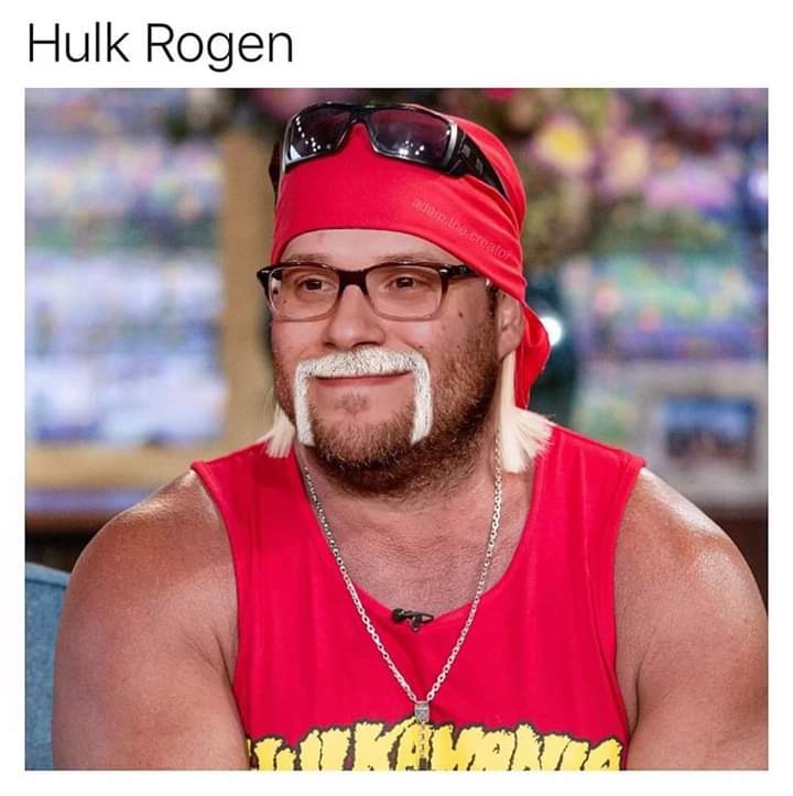 sylvester stallone memes - Hulk Rogen