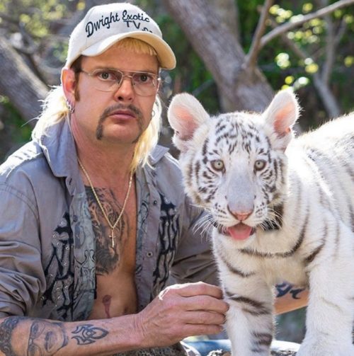 tiger king - Dwight Everotic