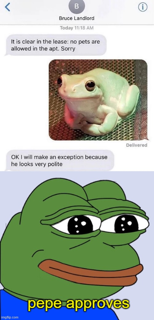 polite frog meme - Bruce Landlord Today 1 Am It is clear in the lease no pets are allowed in the apt. Sorry Delivered Ok I will make an exception because he looks very polite pepe approves