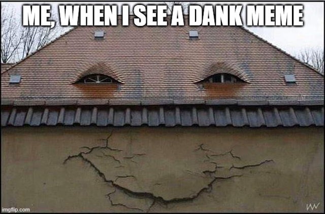 roof - Me,When Isef A Dank Meme imgflip.com