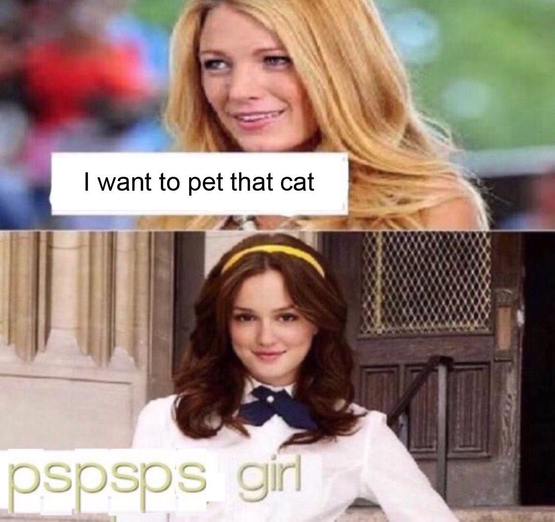 meme - blair waldorf gossip girl - I want to pet that cat pspsps girl