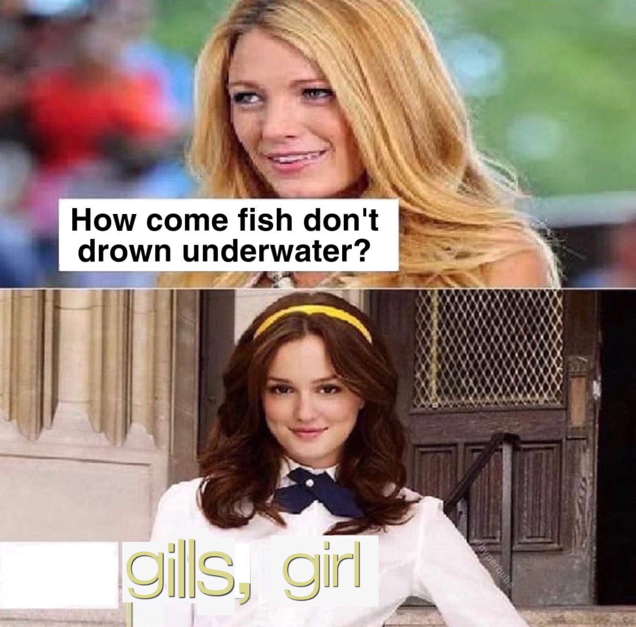 meme - blair waldorf gossip girl - How come fish don't drown underwater? gills, girl hyperbubs