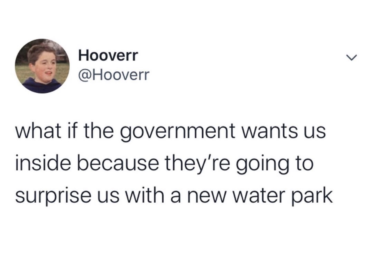 funny memes and tweets - we just let them meme - Hooverr what if the government wants us inside because they're going to surprise us with a new water park