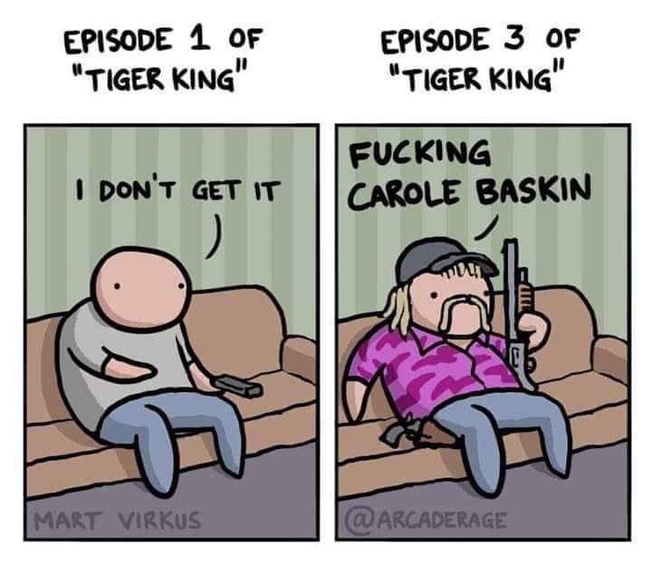 funny memes and tweets - cartoon - Episode 1 Of "Tiger King" Episode 3 Of "Tiger King" I Don'T Get It Fucking Carole Baskin Mart Virkus