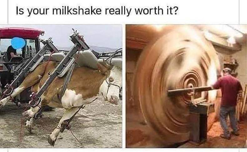 crazy woodworking - Is your milkshake really worth it?
