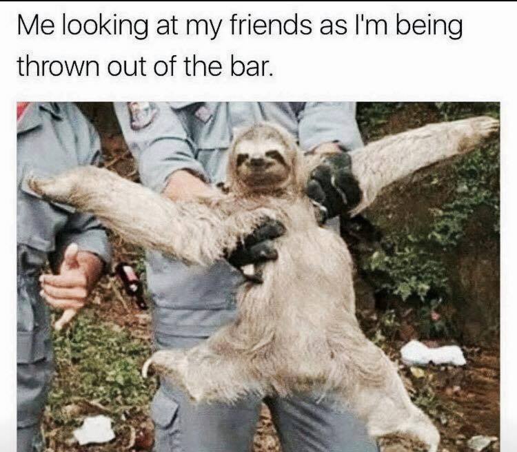 dank sloth memes - Me looking at my friends as I'm being thrown out of the bar.