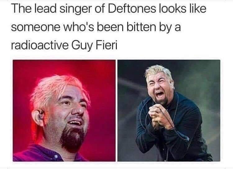 deftones meme - The lead singer of Deftones looks someone who's been bitten by a radioactive Guy Fieri