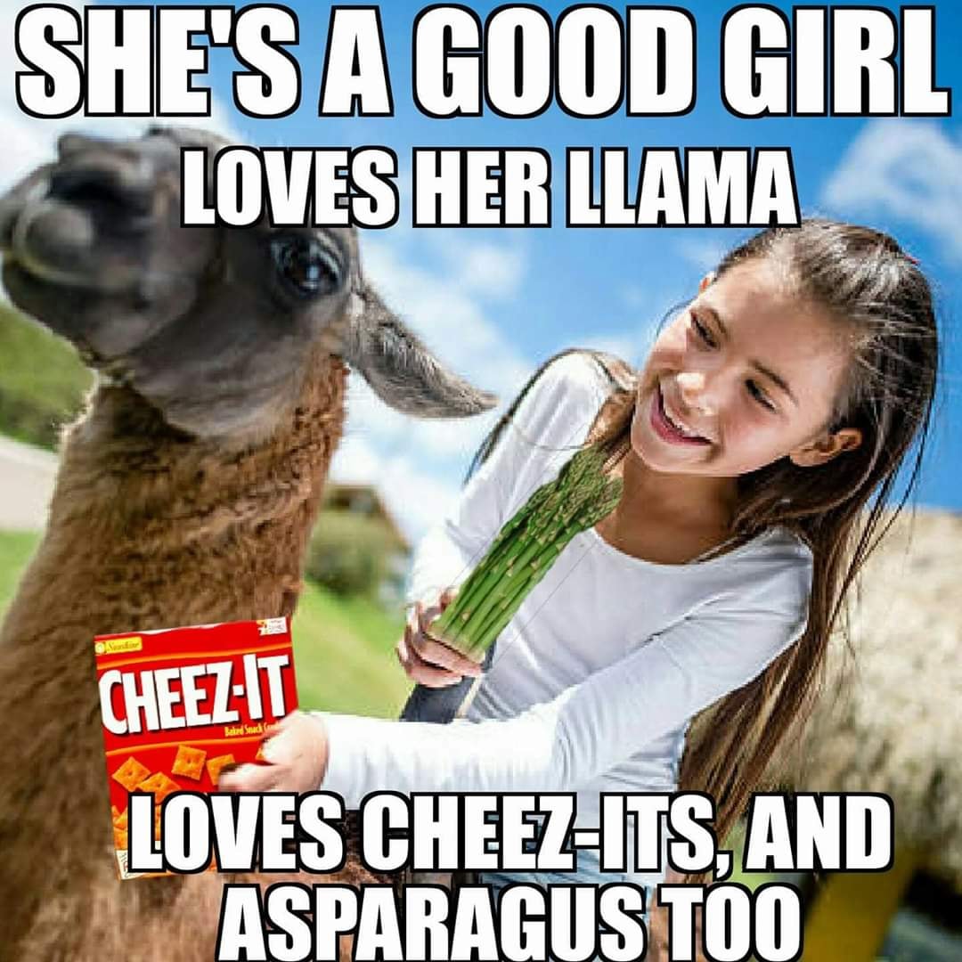 funny lyric memes - She'S A Good Girl Loves Her Llama Cheezit Sad Loves CheezIts, And Asparagus Too