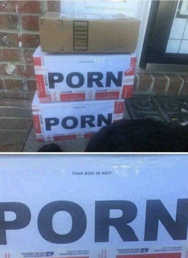 Porn Porn The Box Wowy Porn