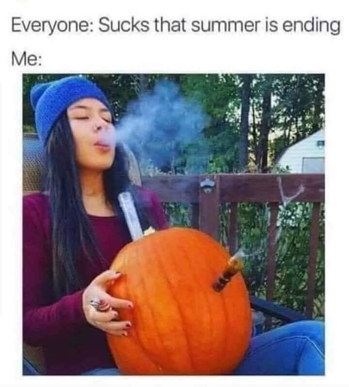 420 - weed - fall season meme - Everyone Sucks that summer is ending Me