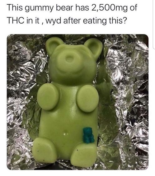 420 - weed - 2500 mg thc gummy bear - This gummy bear has 2,500mg of Thc in it, wyd after eating this?