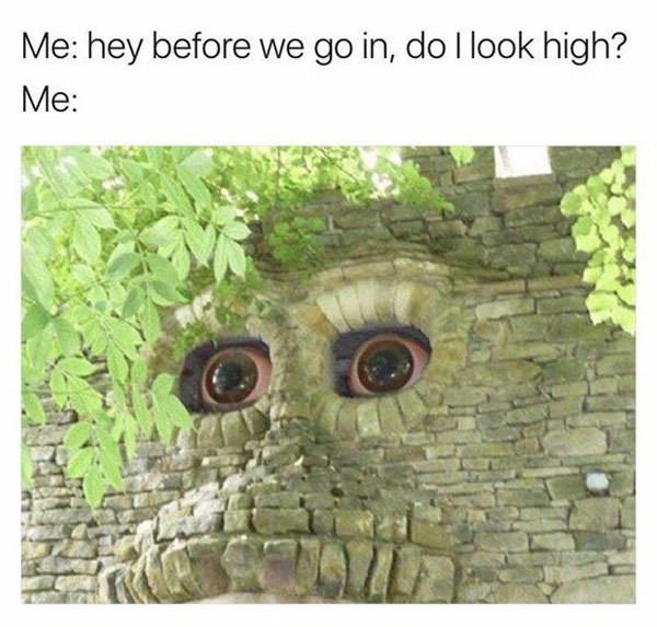 420 - weed - forbidden corner - Me hey before we go in, do I look high? Me