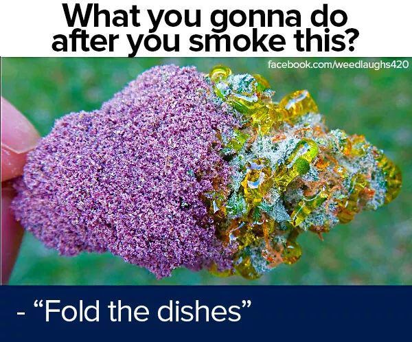 420 - weed - fold the dishes - What you gonna do after you smoke this? facebook.comweedlaughs420