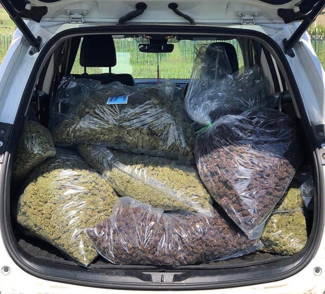 420 - weed - family car