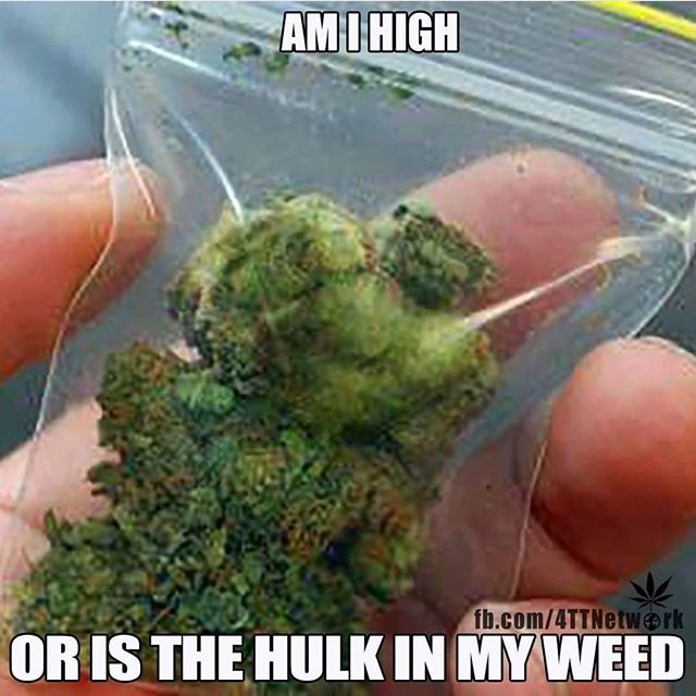 420 - weed - am weed - Amihigh fb.com4TTNetwork Or Is The Hulk In My Weed