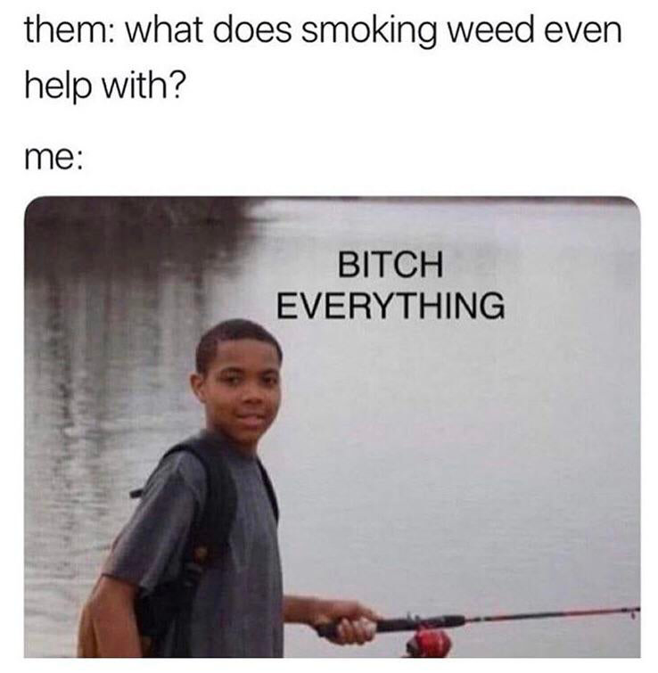 420 - weed - so what's stressing you out lately - them what does smoking weed even help with? me Bitch Everything