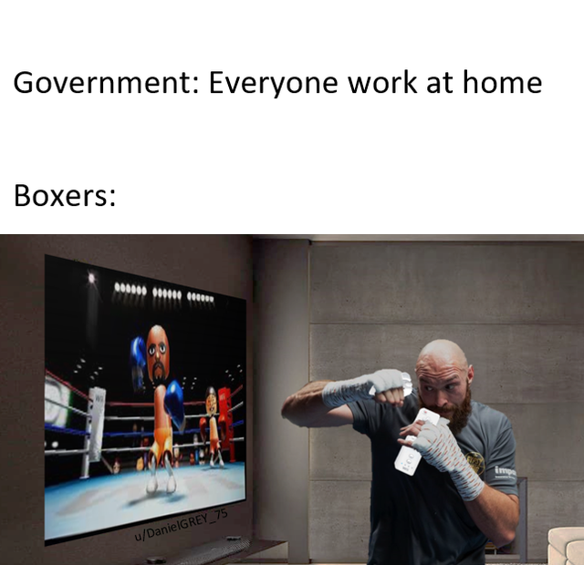 presentation - Government Everyone work at home Boxers 100005 2000 uDanielGREY_75