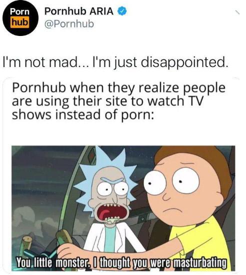 rick and morty memes - Porn hub Pornhub Aria I'm not mad... I'm just disappointed. Pornhub when they realize people are using their site to watch Tv shows instead of porn You little monster. I thoughif you were masturbating