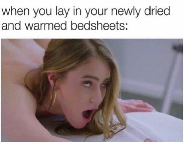 blond - when you lay in your newly dried and warmed bedsheets