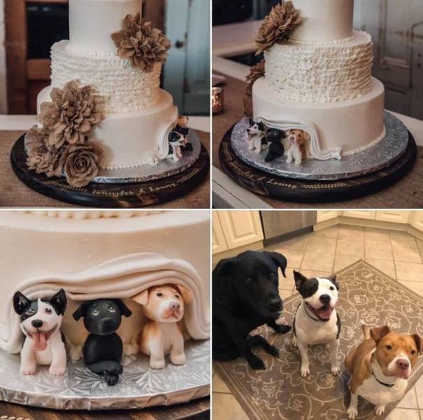 dog wedding cake