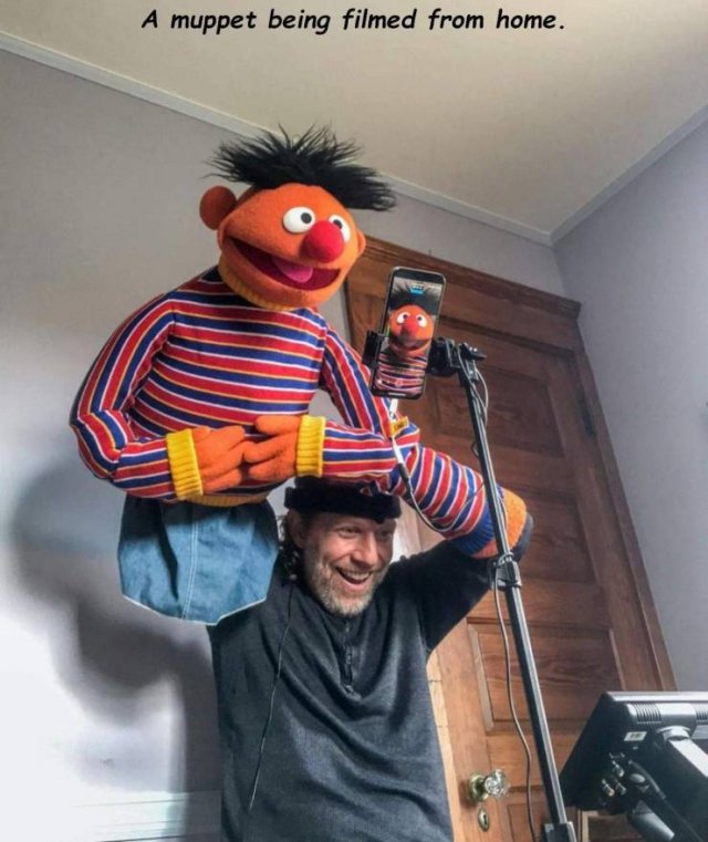 The Muppets - A muppet being filmed from home.