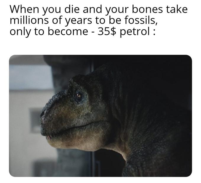 oil price crash meme - When you die and your bones take millions of years to be fossils, only to become 35$ petrol