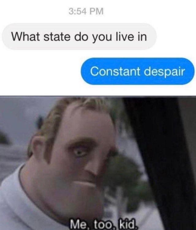me too kid meme - What state do you live in Constant despair Me, too, kid,