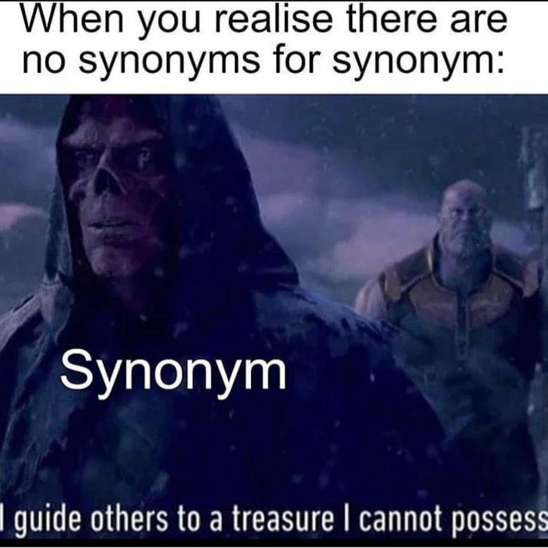 destiny 2 memes - When you realise there are no synonyms for synonym Synonym I guide others to a treasure I cannot possess