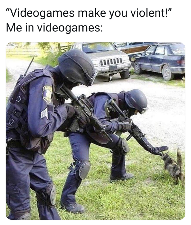 swat team cat - "Videogames make you violent!" Me in videogames
