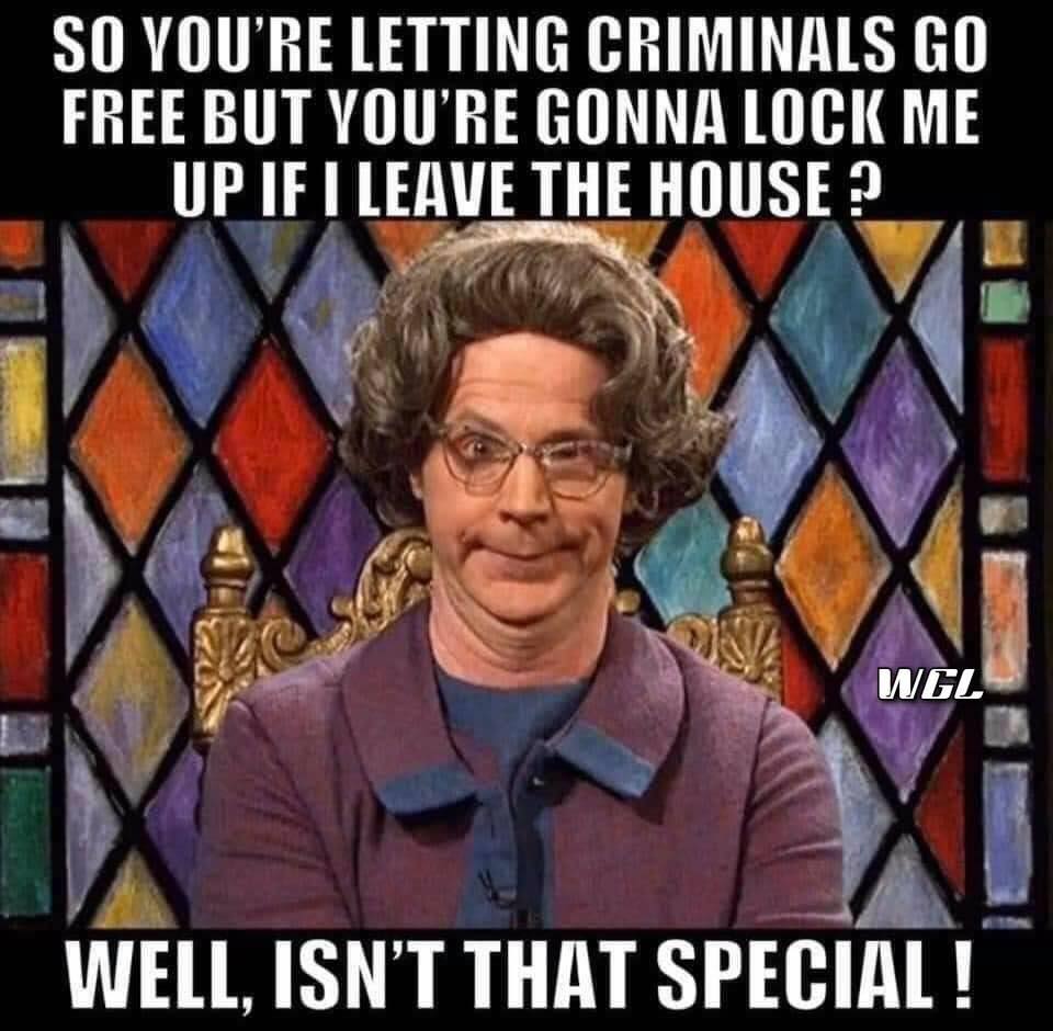 church lady snl - So You'Re Letting Criminals Go Free But You'Re Gonna Lock Me Up If I Leave The House ? Wgl Well, Isn'T That Special!