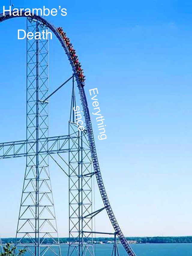 millennium force drop - Harambe's Death Everything