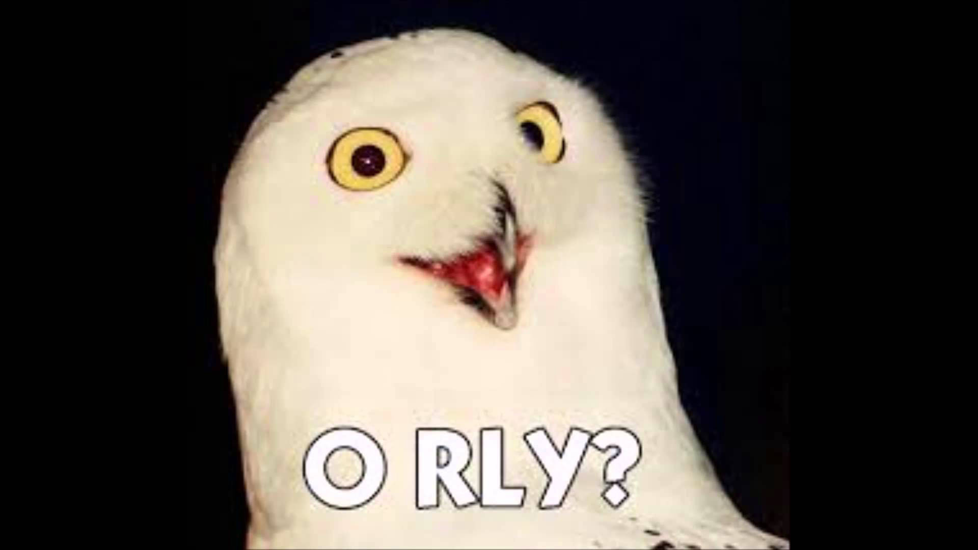 orly owl meme - Orly?