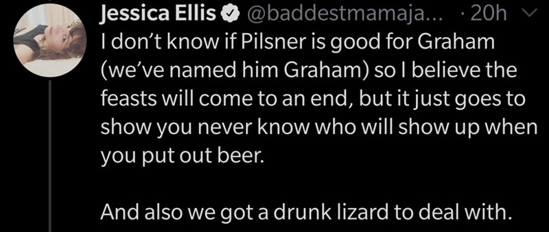 darkness - Jessica Ellis ... 20h vi I don't know if Pilsner is good for Graham we've named him Graham so I believe the feasts will come to an end, but it just goes to show you never know who will show up when you put out beer. And also we got a drunk liza