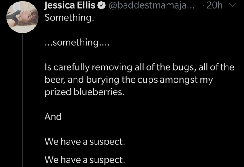 atmosphere - Jessica Ellis ... .20h v Something. ...something.... Is carefully removing all of the bugs, all of the beer, and burying the cups amongst my prized blueberries. And We have a suspect. We have a suspect.