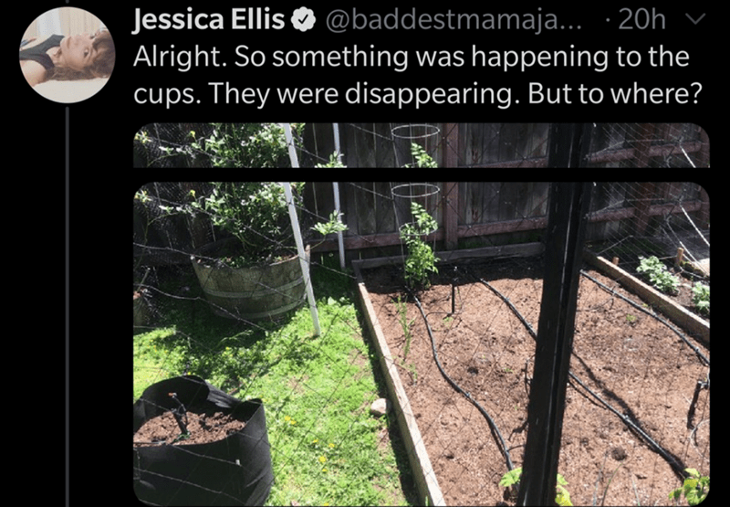 tree - Jessica Ellis ... 20hv Alright. So something was happening to the cups. They were disappearing. But to where?