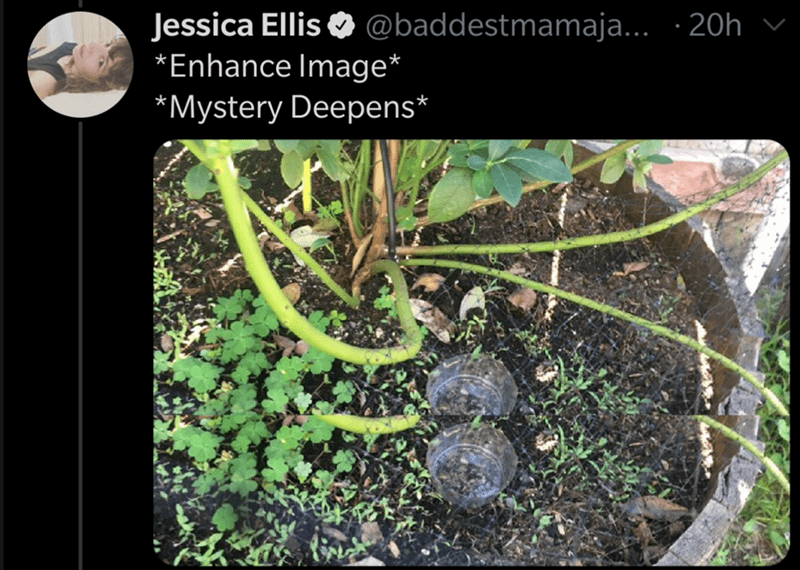 soil - Jessica Ellis ... .20h v Enhance Image Mystery Deepens