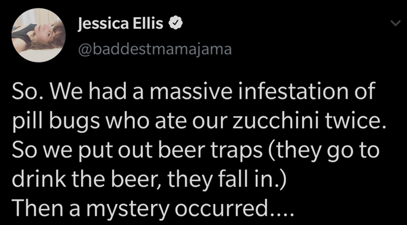 moon - Jessica Ellis So. We had a massive infestation of pill bugs who ate our zucchini twice. So we put out beer traps they go to drink the beer, they fall in. Then a mystery occurred....