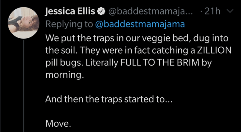 Mengikhlaskan Mu - Jessica Ellis ... .21h v , We put the traps in our veggie bed, dug into the soil. They were in fact catching a Zillion pill bugs. Literally Full To The Brim by morning. And then the traps started to... Move.