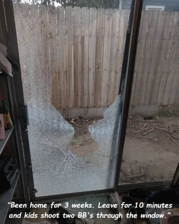 wood - "Been home for 3 weeks. Leave for 10 minutes and kids shoot two Bb's through the window."