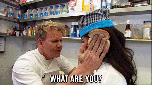 idiot sandwich gif - What Are You?