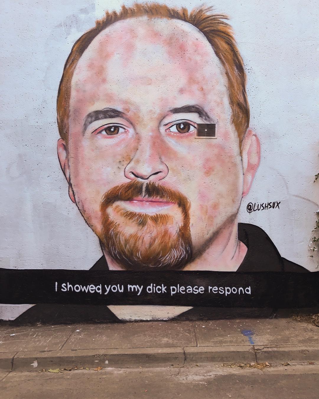 graffiti memes - louis c.k. I showed you my dick please respond