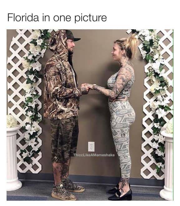 christina pazsitzky wedding - Florida in one picture ThiccAMemeshake