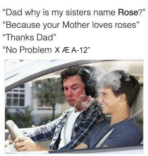 X Æ A-12 - my sisters name rose -