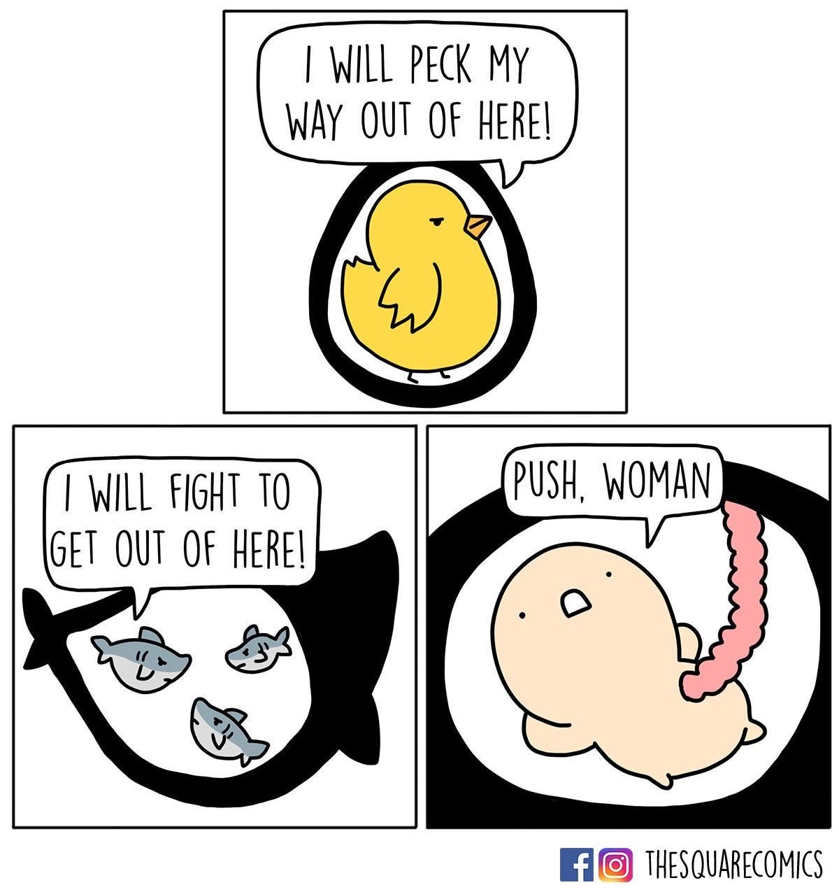 born lazy - I Will Peck My | Way Out Of Here! Push, Woman I Will Fight To |Get Out Of Here! Fothesquarecomics
